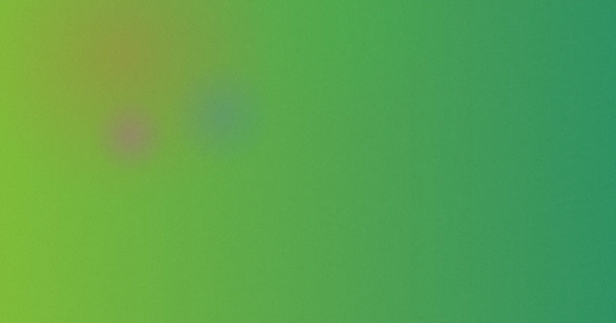 山口智子推荐：新手对比